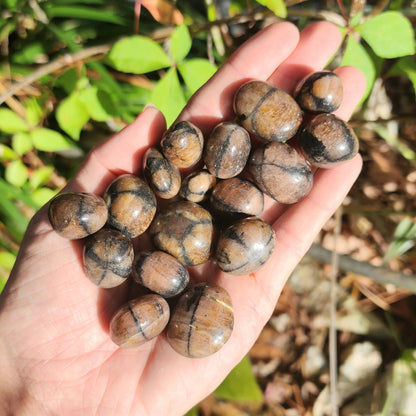 Chiastolite Fairy Cross Tumble