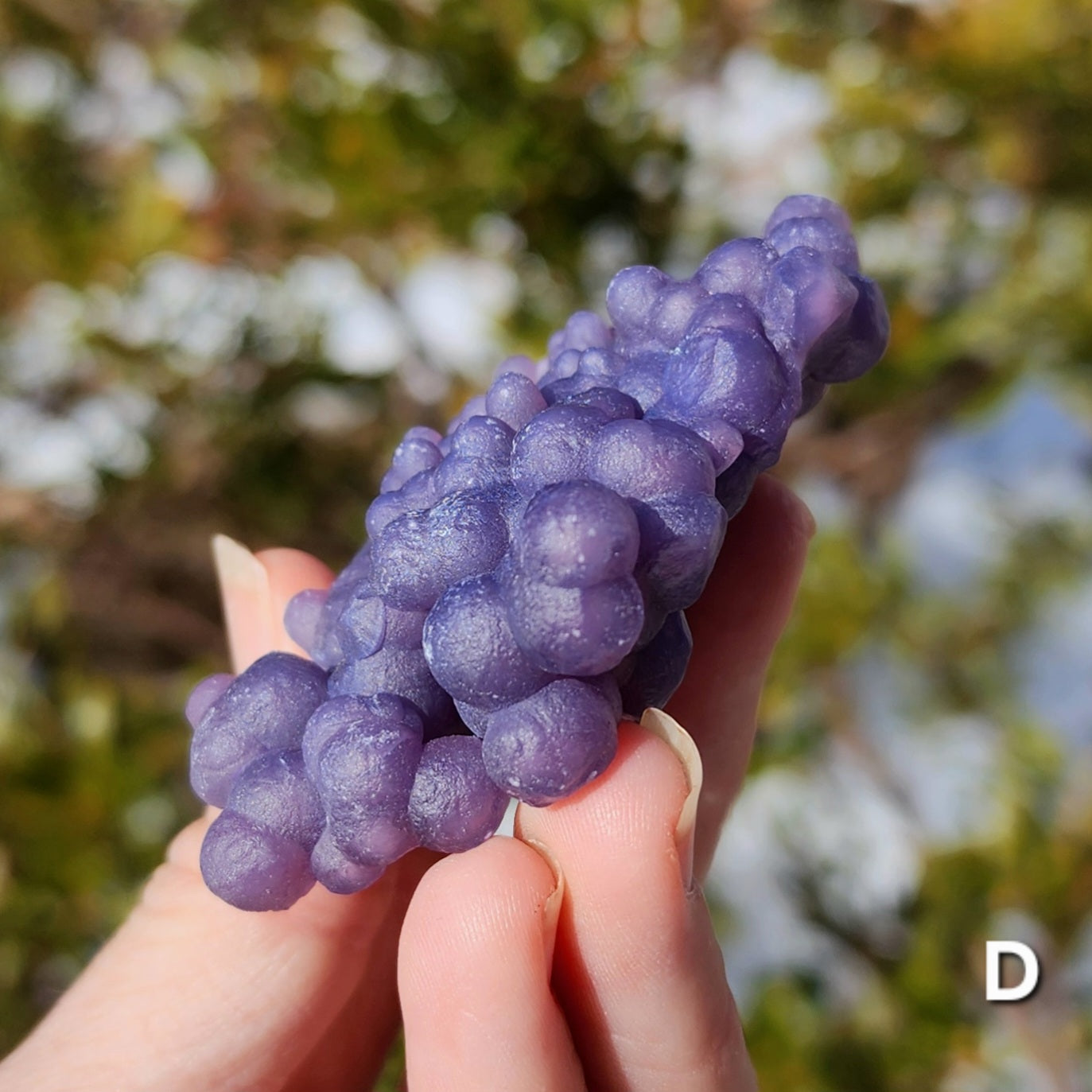 Grape Agate Specimens