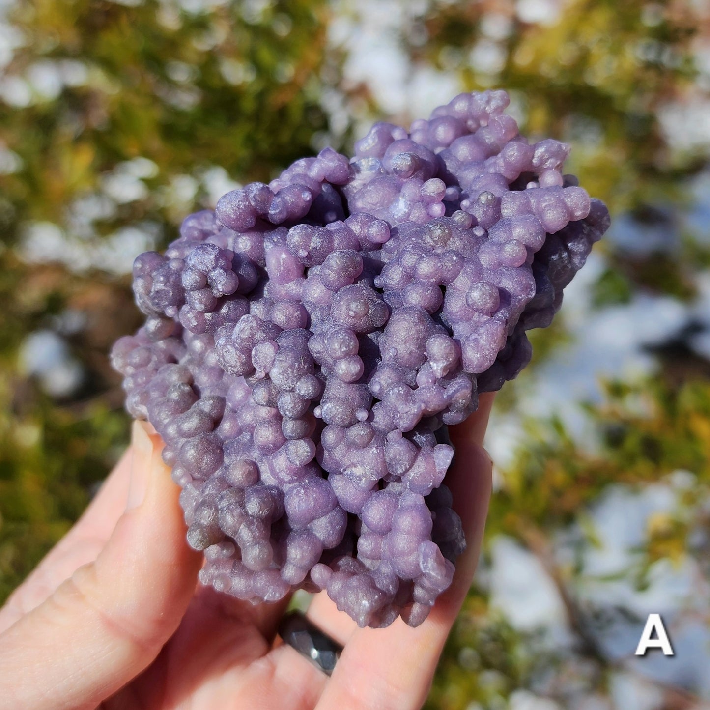 Grape Agate Specimens