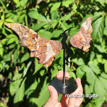 Dragon Wings (Dream Amethyst, Maligano Jasper, Mexican Agate, or Rainbow Fluorite)