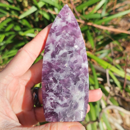 Lepidolite Freeform