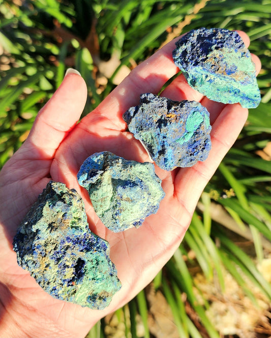 Azurite in Chrysocolla Specimens