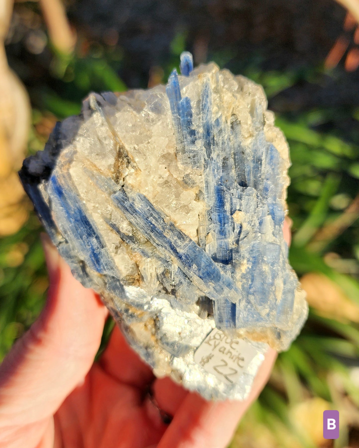 Blue Kyanite with Quartz Clusters
