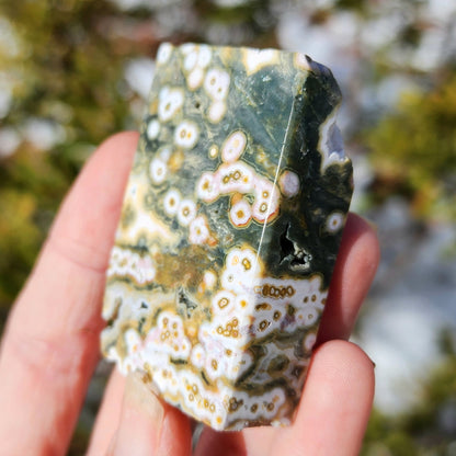 Ocean Jasper Angular Freeform