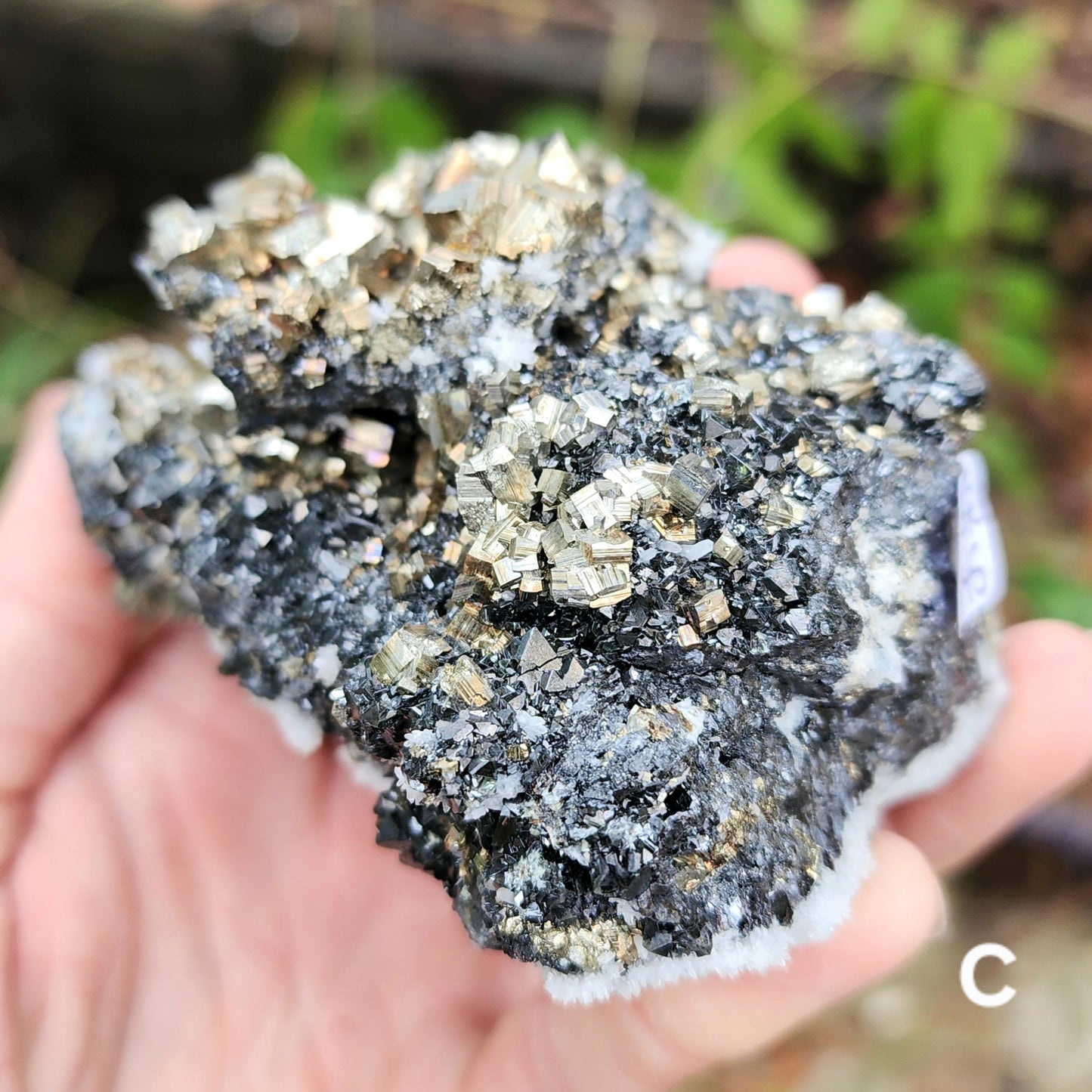 Pyrite w/ Black Magnetite and Calcite Larger Specimens