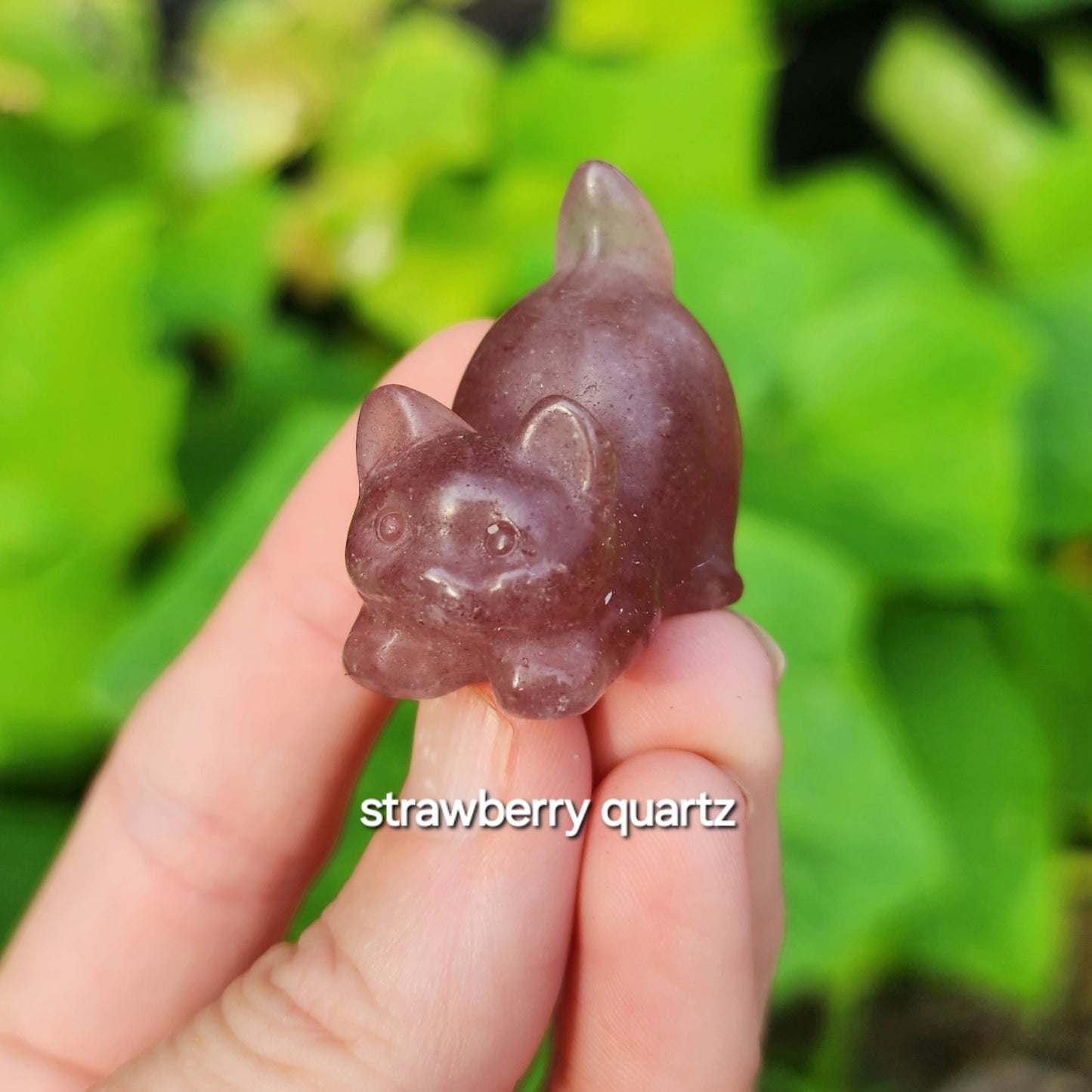 Kitty Carving (Garnet in Arfvedsonite, Lepidolite, Obsidian, Strawberry Quartz, White Jade)