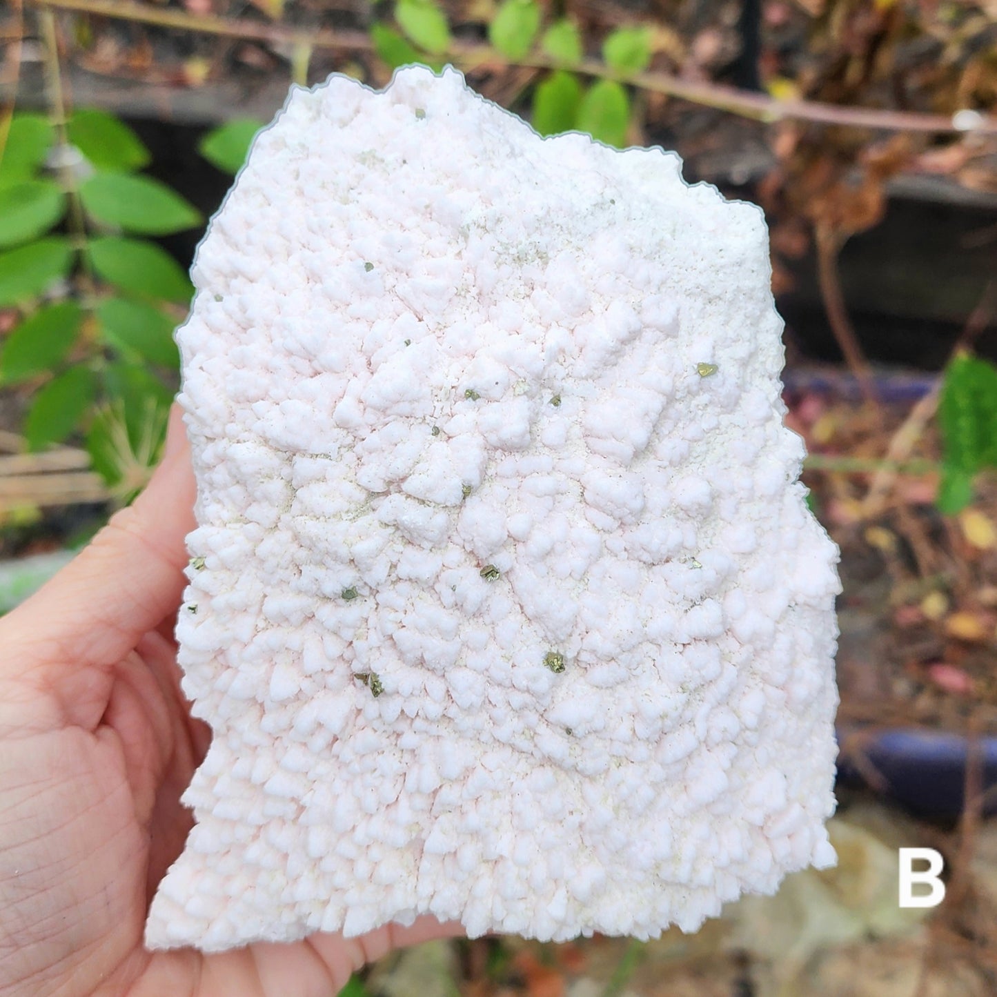 Rare Crystallized Pink Mangano Calcite Clusters