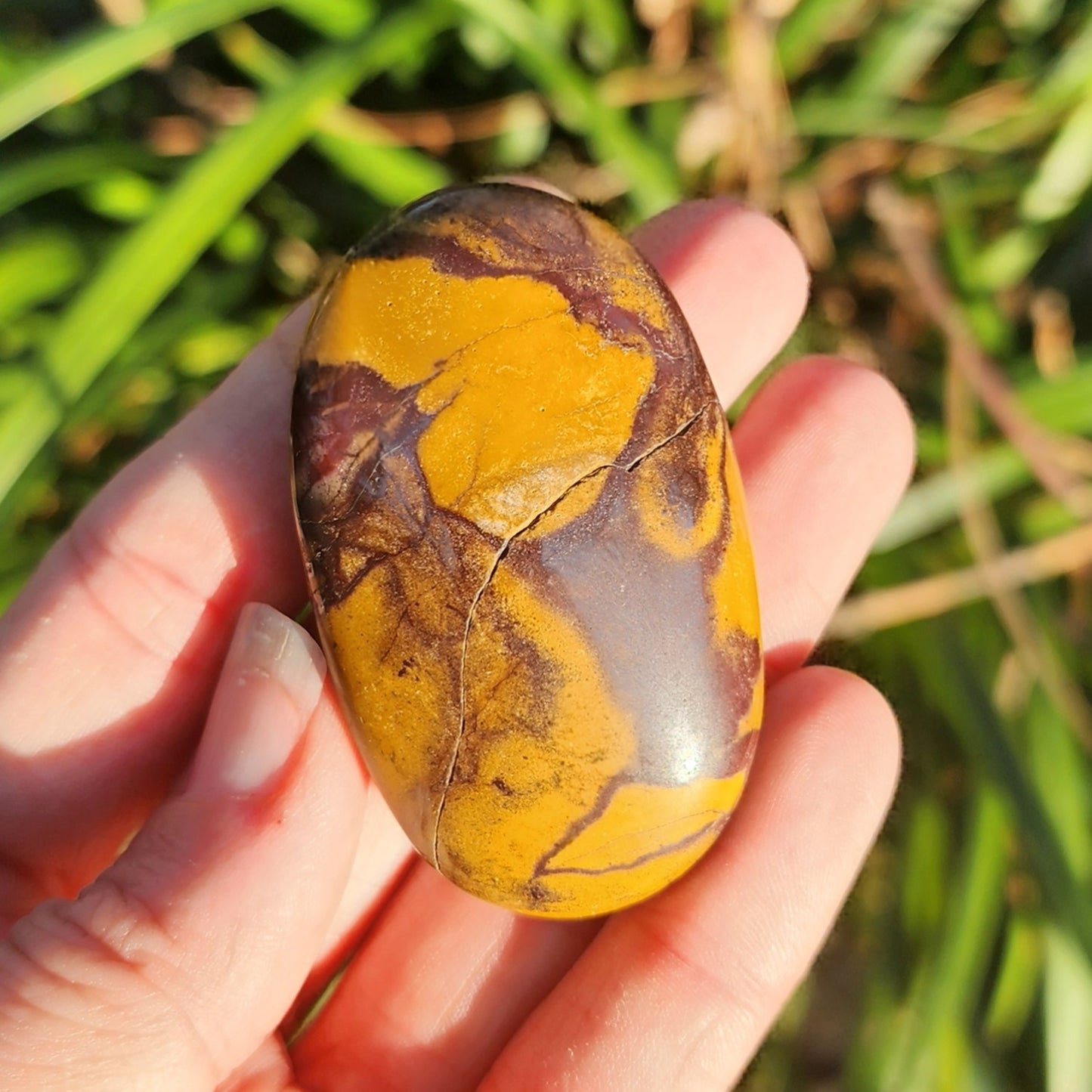 Mookaite Jasper Palm Stone