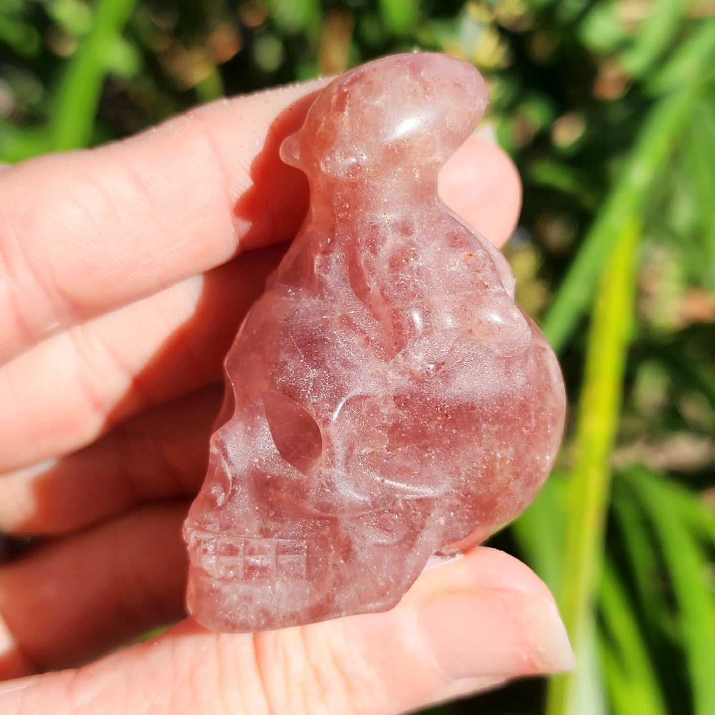 Red Aventurine Octopus on Skull Carvings