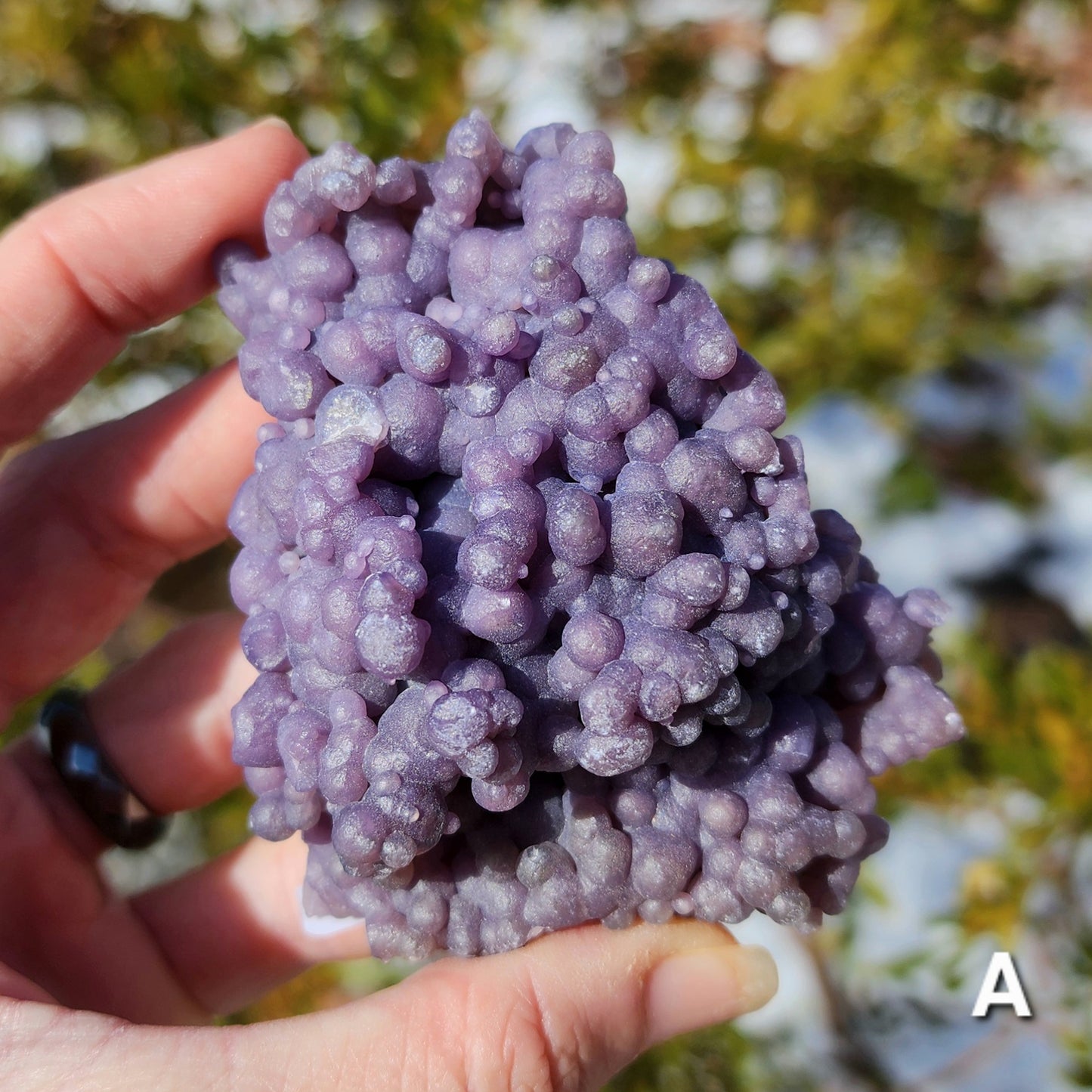 Grape Agate Specimens