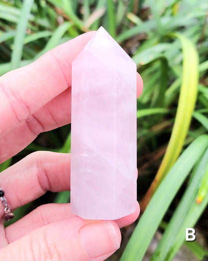 Rose Quartz Towers