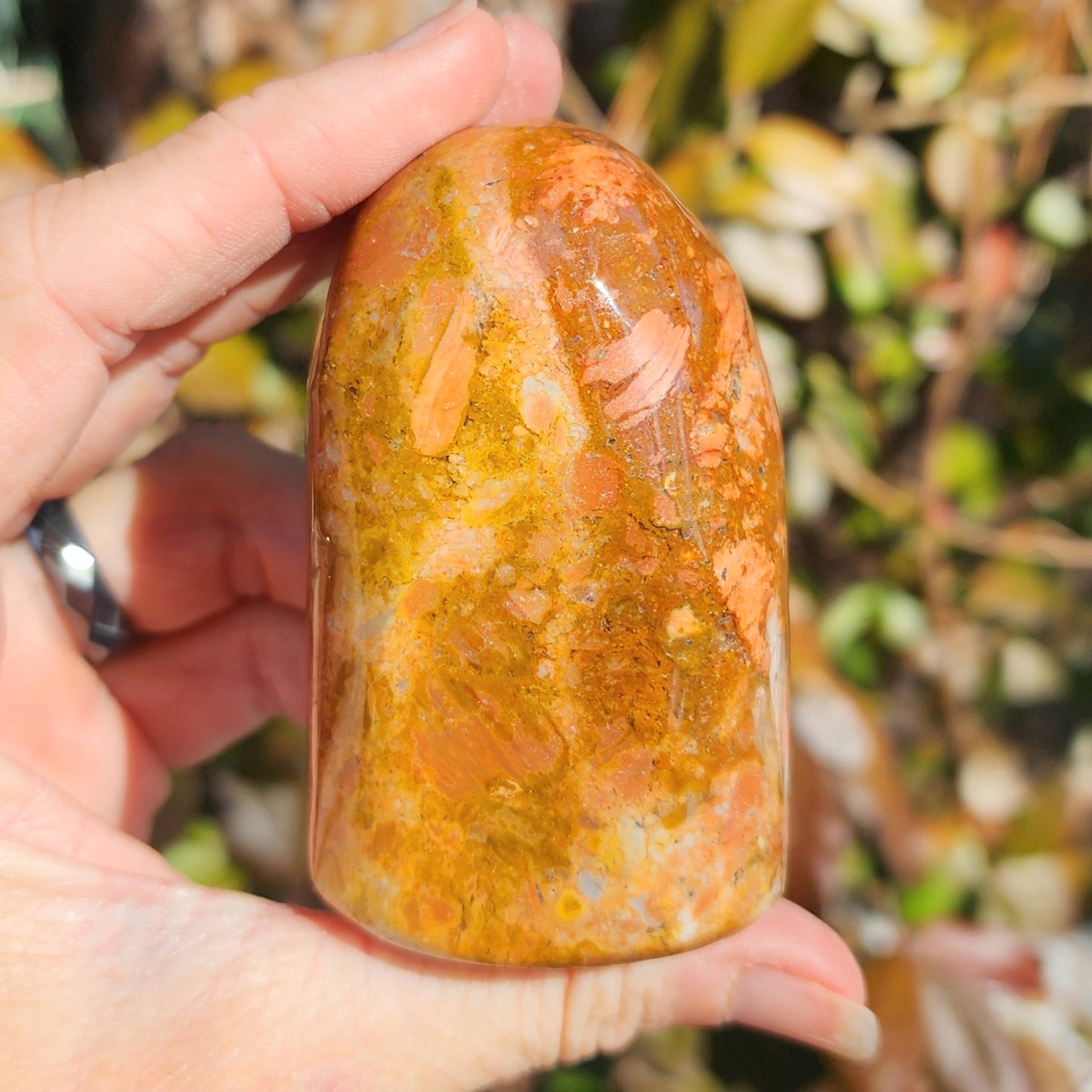 Mookaite Jasper Freeform