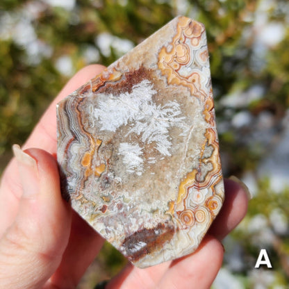 Moroccan Crazy Lace Agate Angular Freeforms