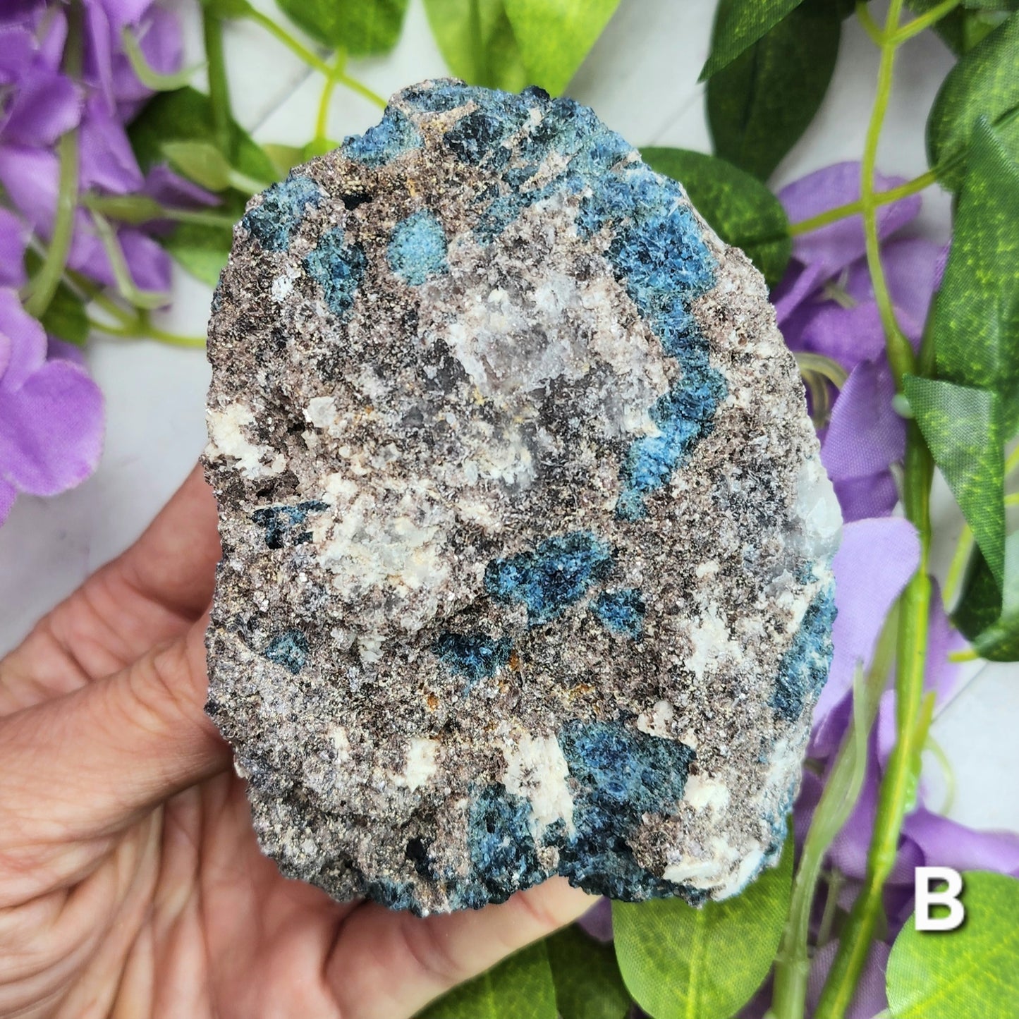 Rare Blue Tourmaline (Indicolite) and Lepidolite in Quartz Specimens