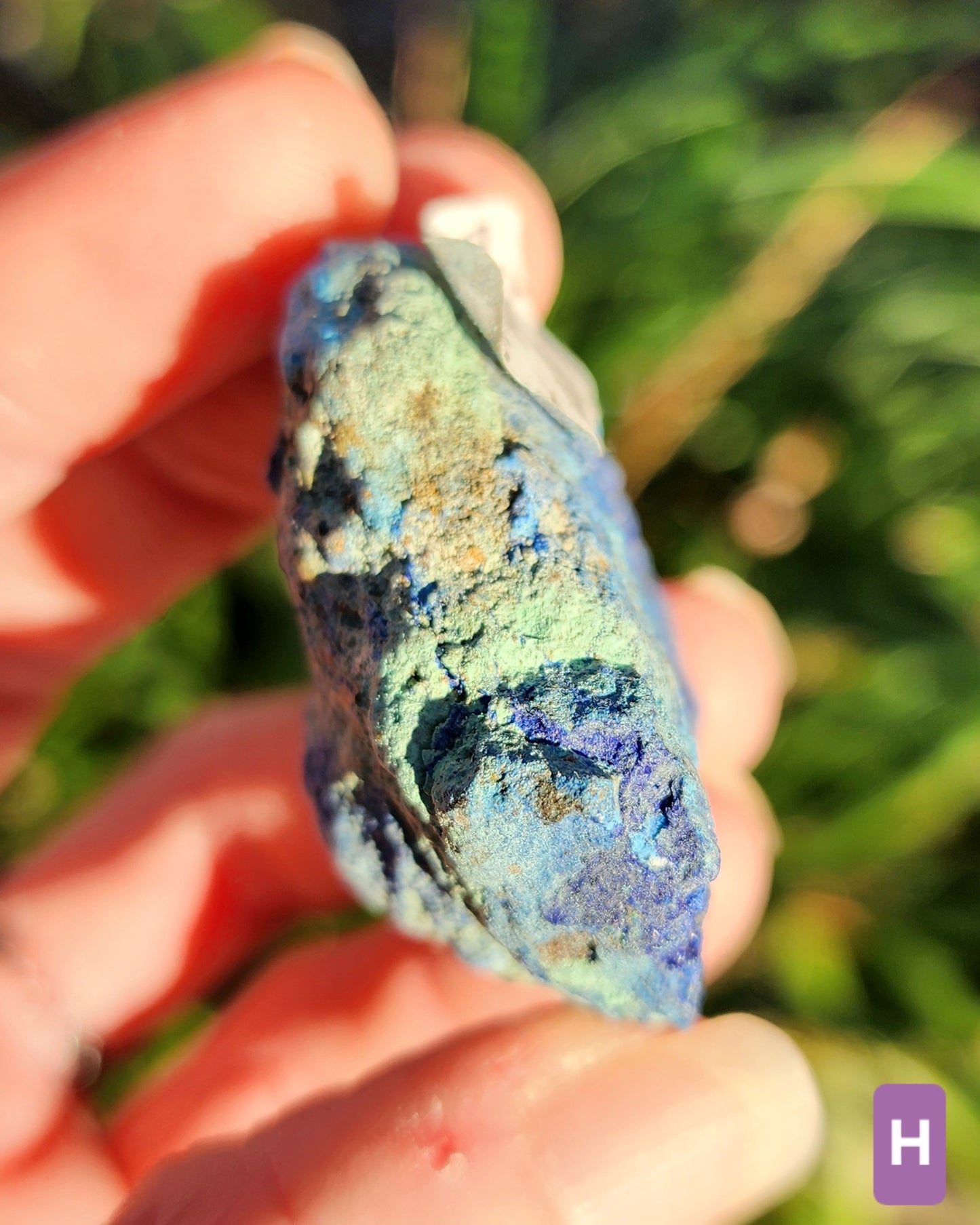 Azurite in Chrysocolla Specimens