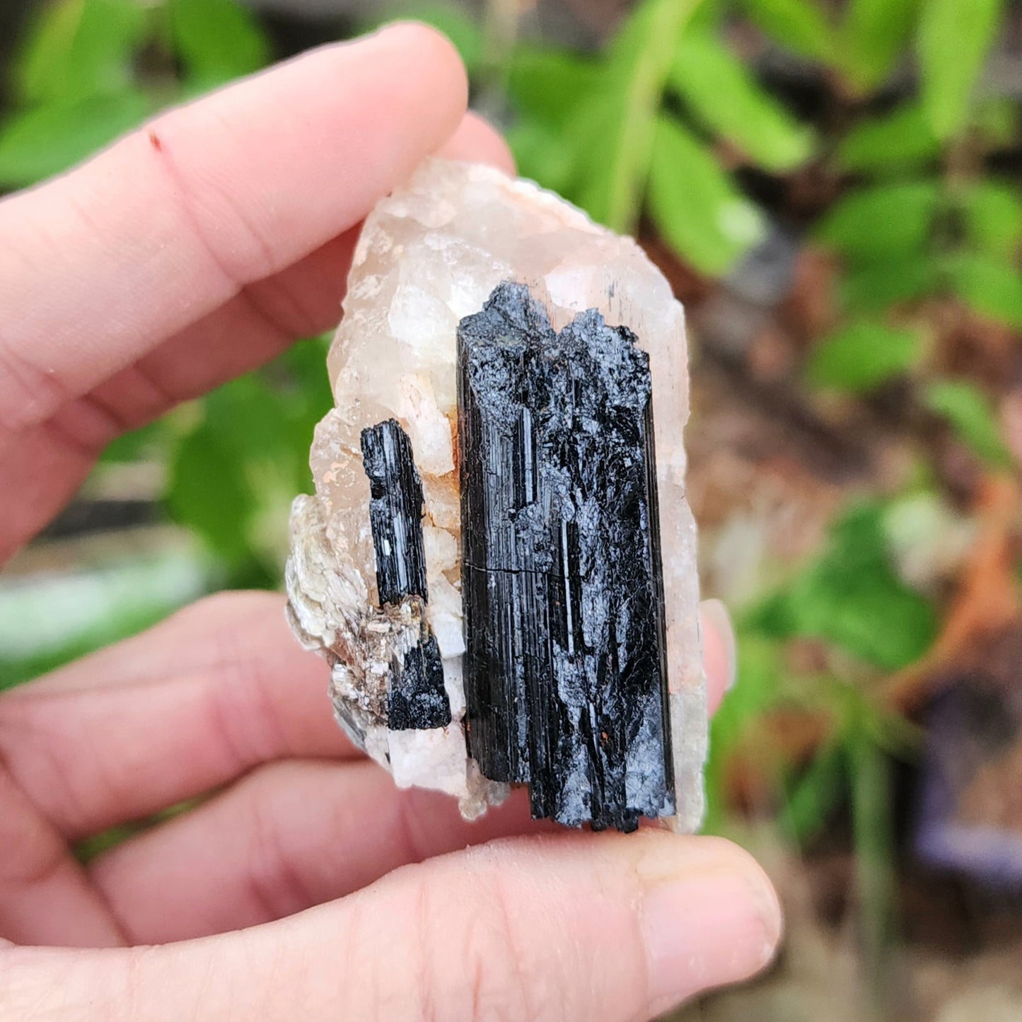 Black Tourmaline on Matrix