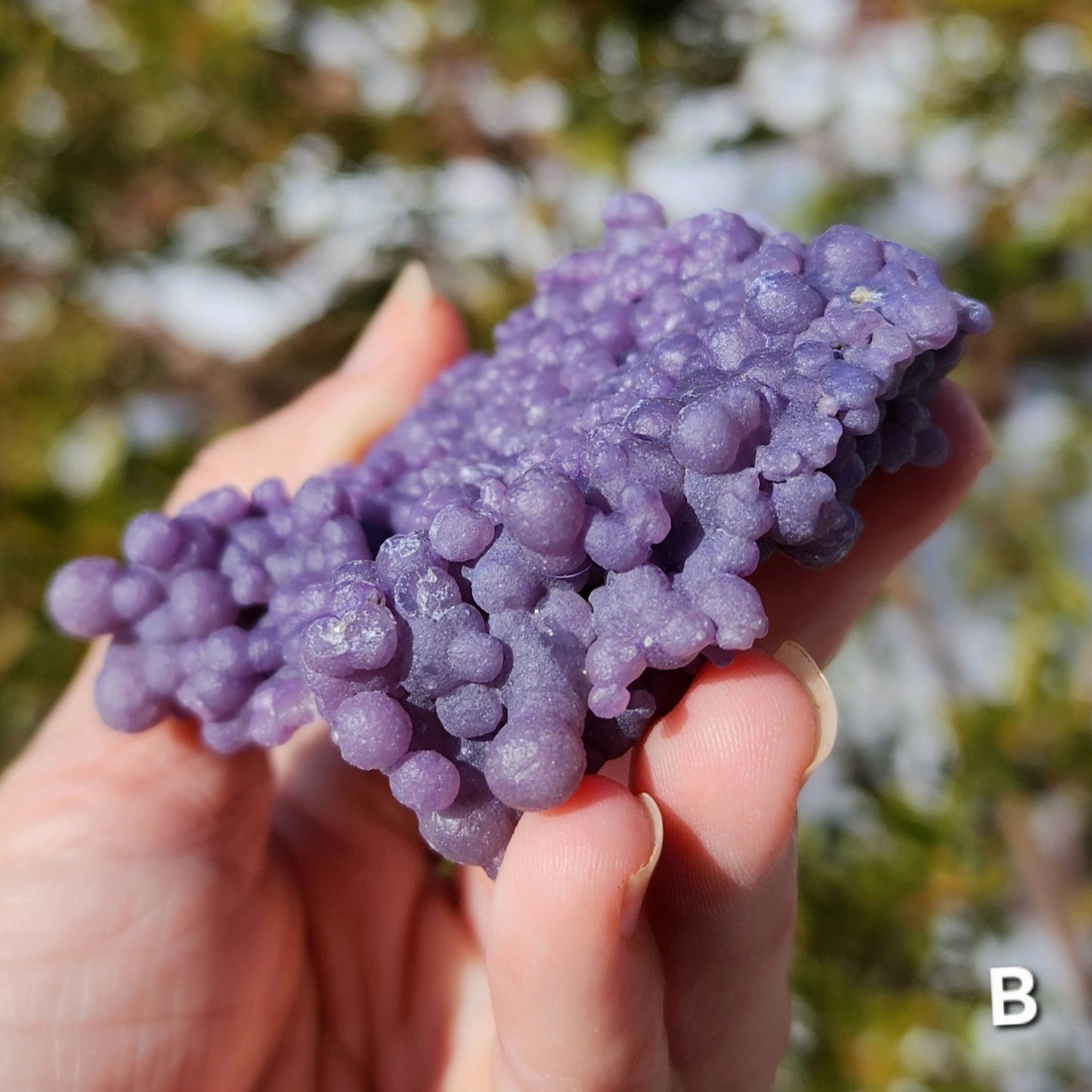 Grape Agate Specimens