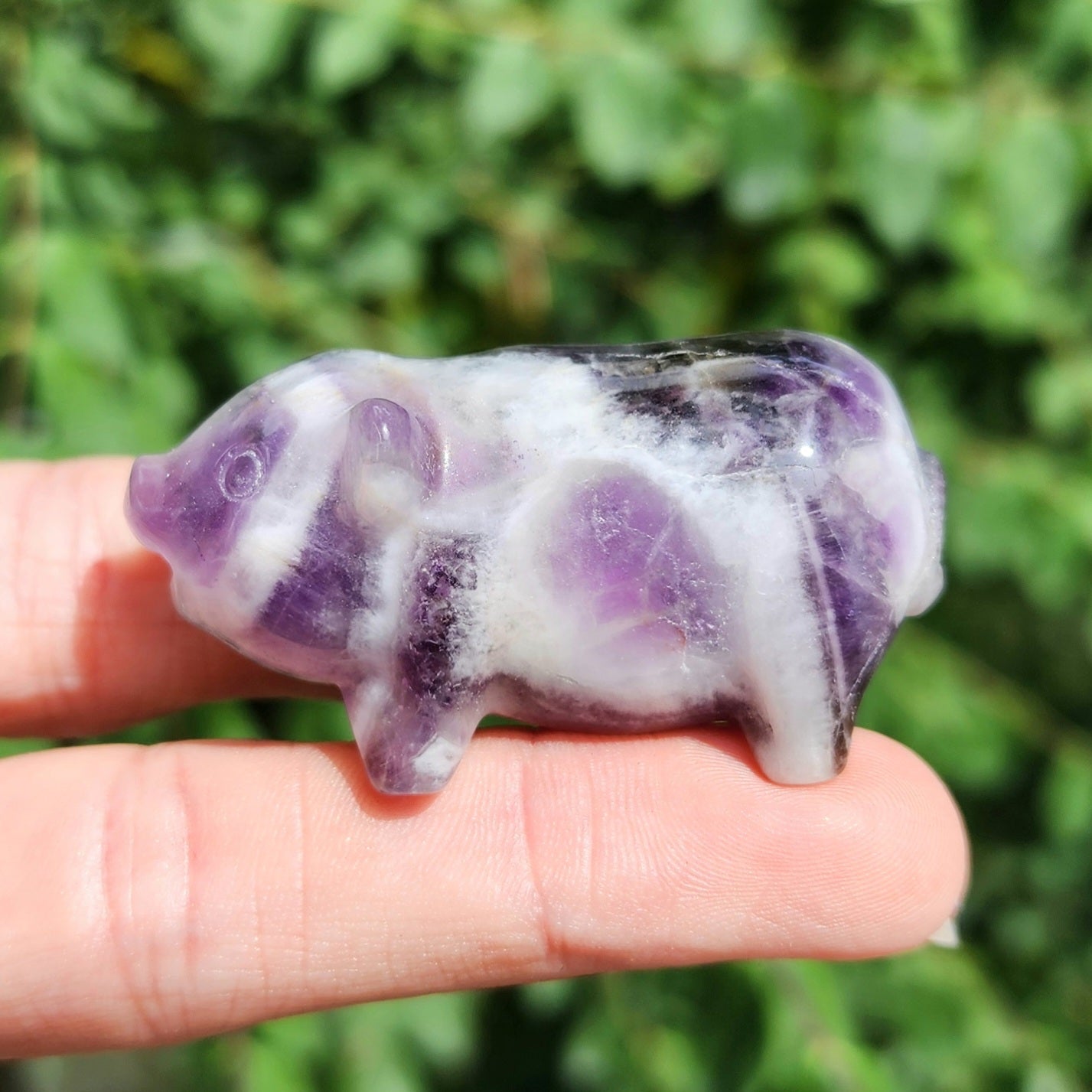 Pig Carving (Dream Amethyst or Moss Agate)