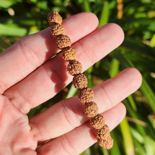 Rudraksha Seed Stretchy Bracelet