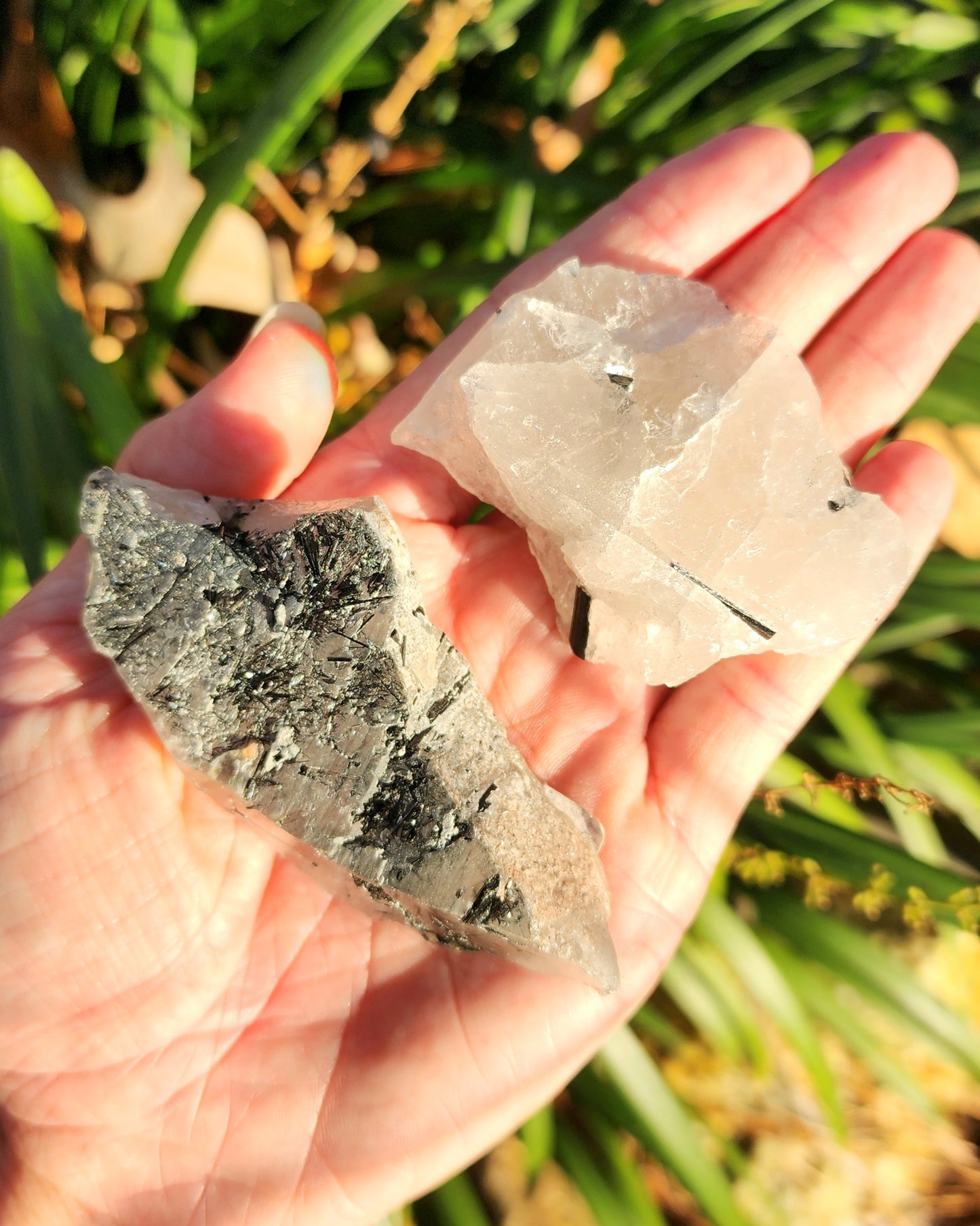 Raw Black Tourmaline in Quartz aka Tourmalinated Quartz