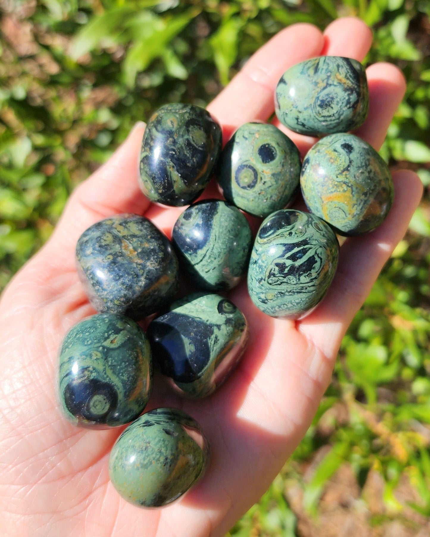 Kambaba Jasper Tumble