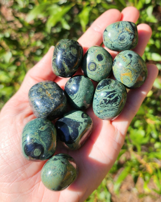 Kambaba Jasper Tumble