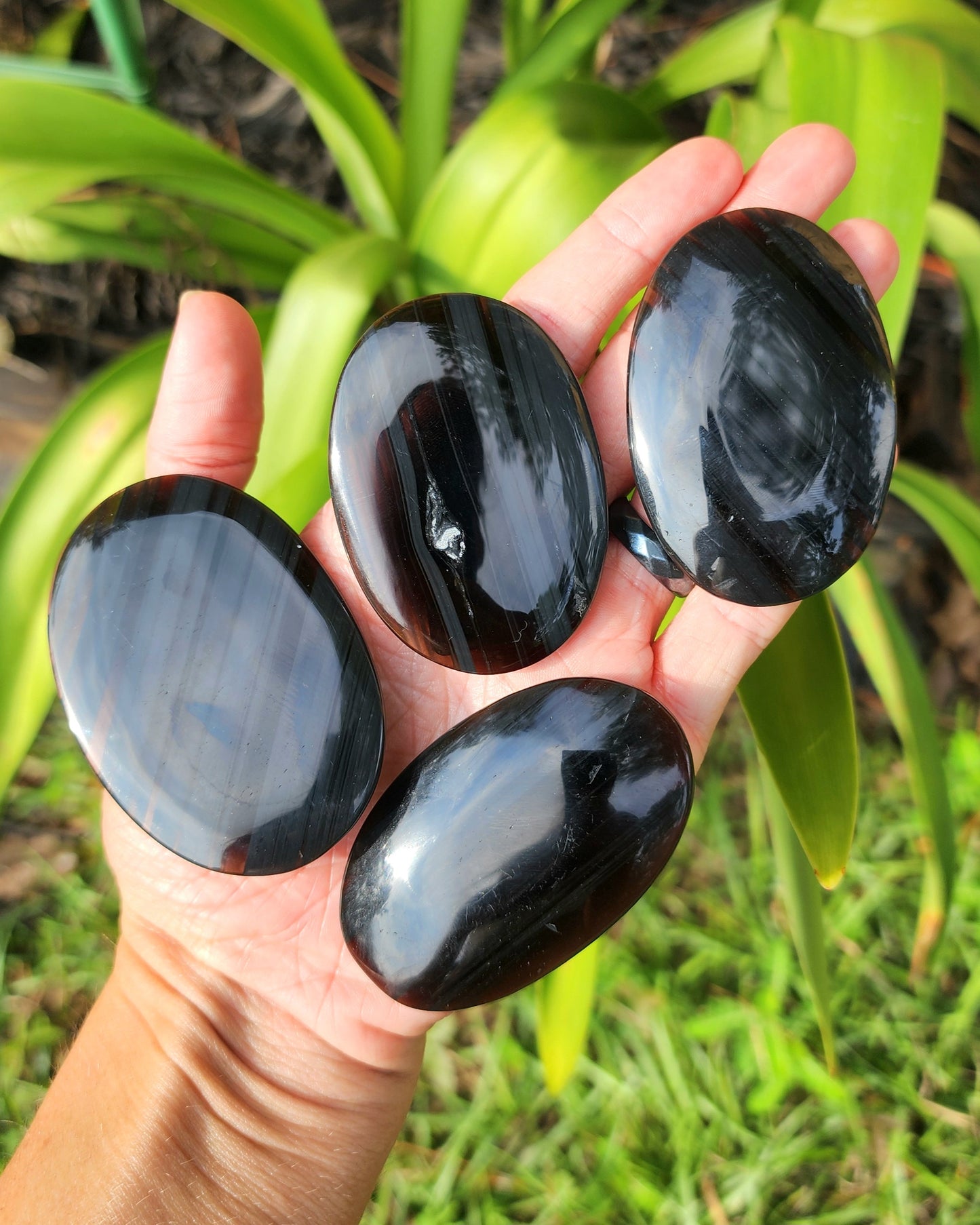 Midnight Lace Obsidian Palm Stone