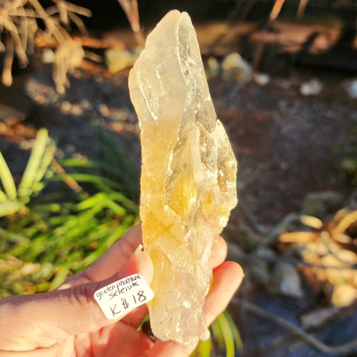 Golden Phantom Selenite