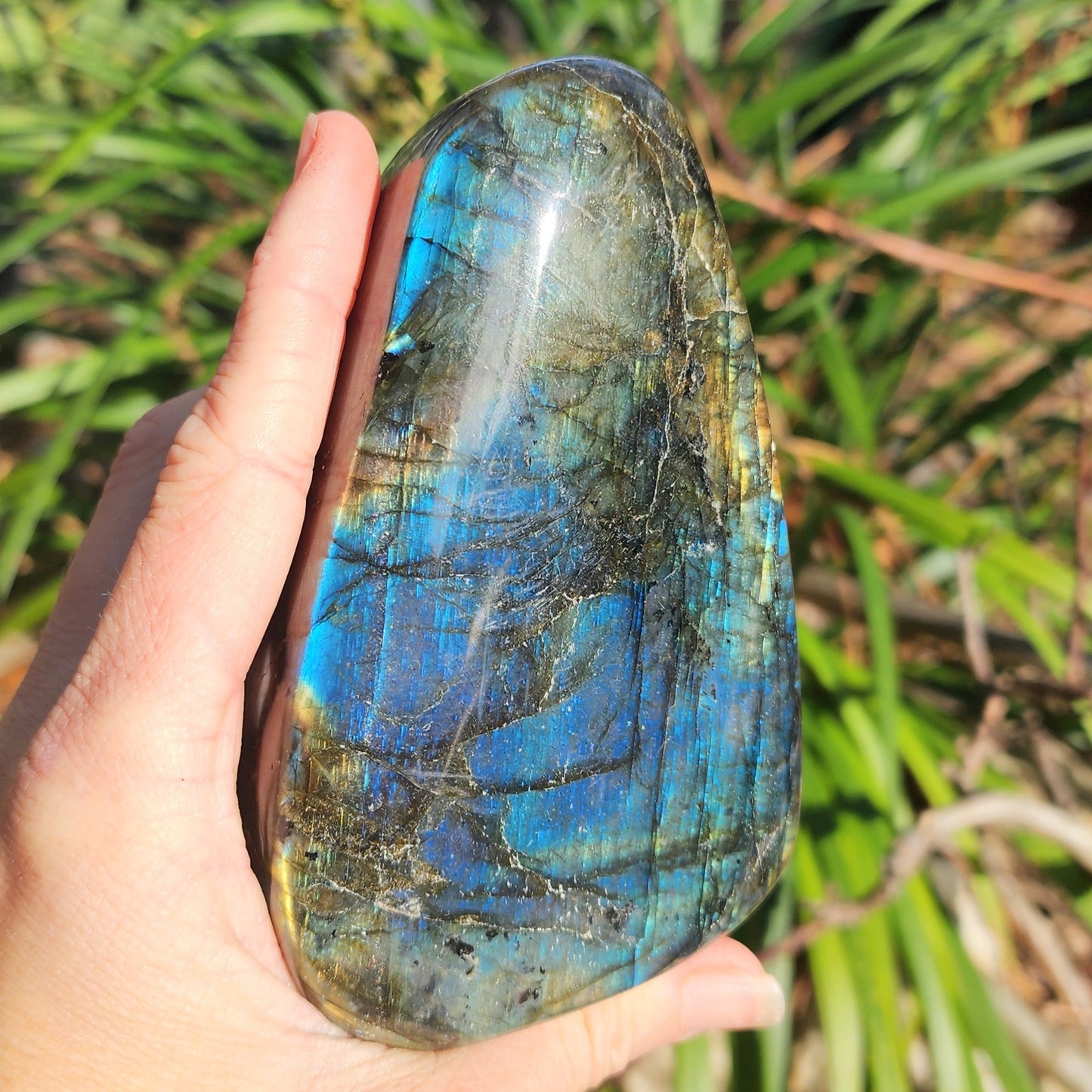 Labradorite Freeform