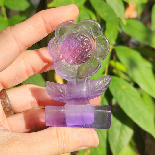 Purple Fluorite Flower