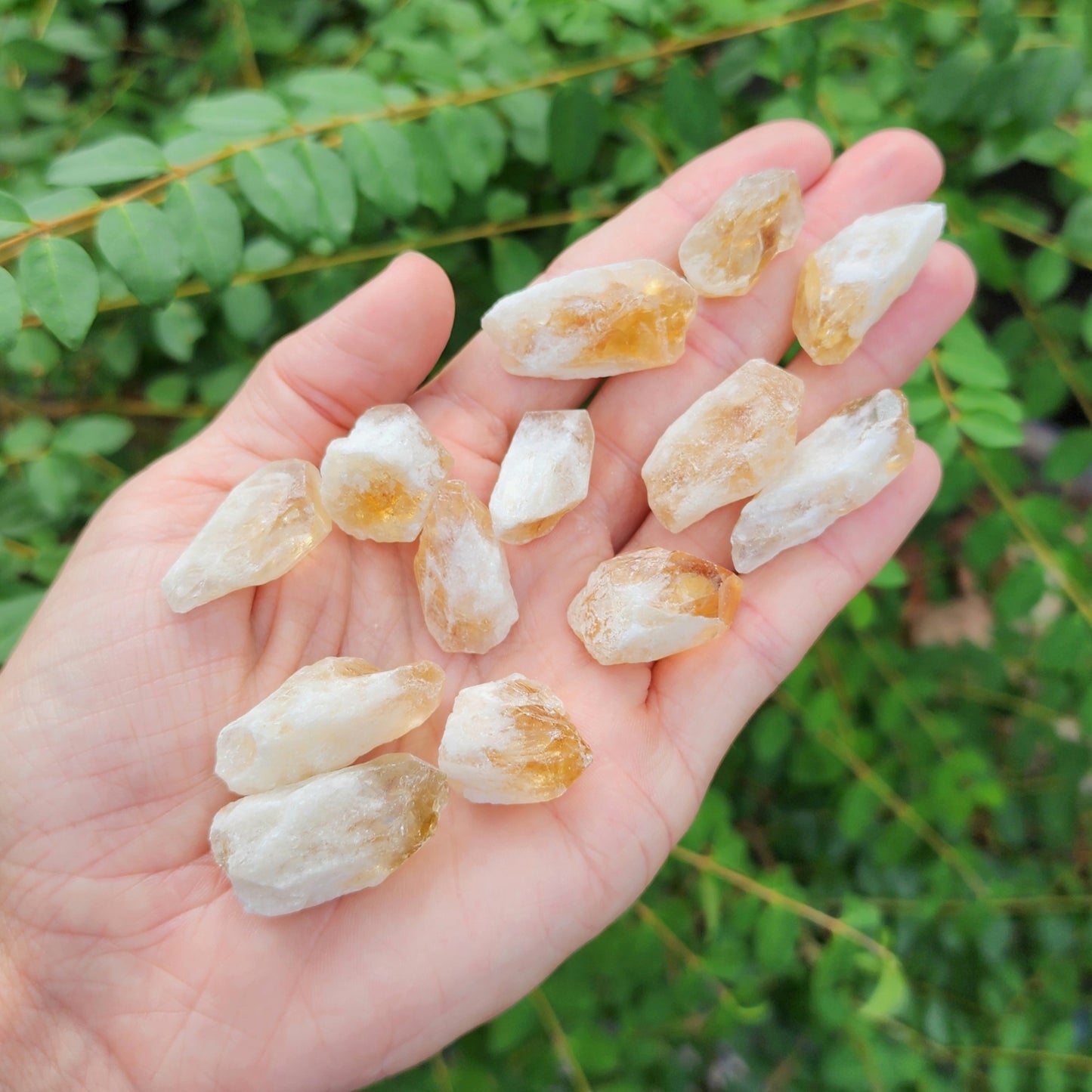 Mini Raw Citrine (HTA) Point