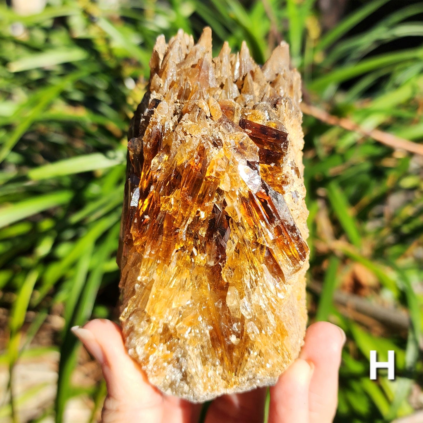 Amber Calcite Specimens (Root Beer Calcite)