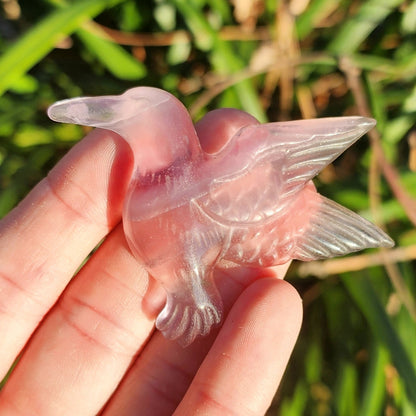 Purple Fluorite Hummingbird