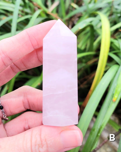 Rose Quartz Towers