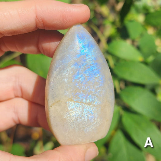 High Quality Rainbow Moonstone Freeform