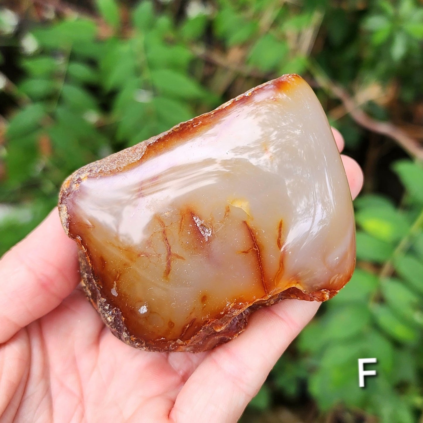 Raw Carnelian Agate (some Carnelian Orca Agate)