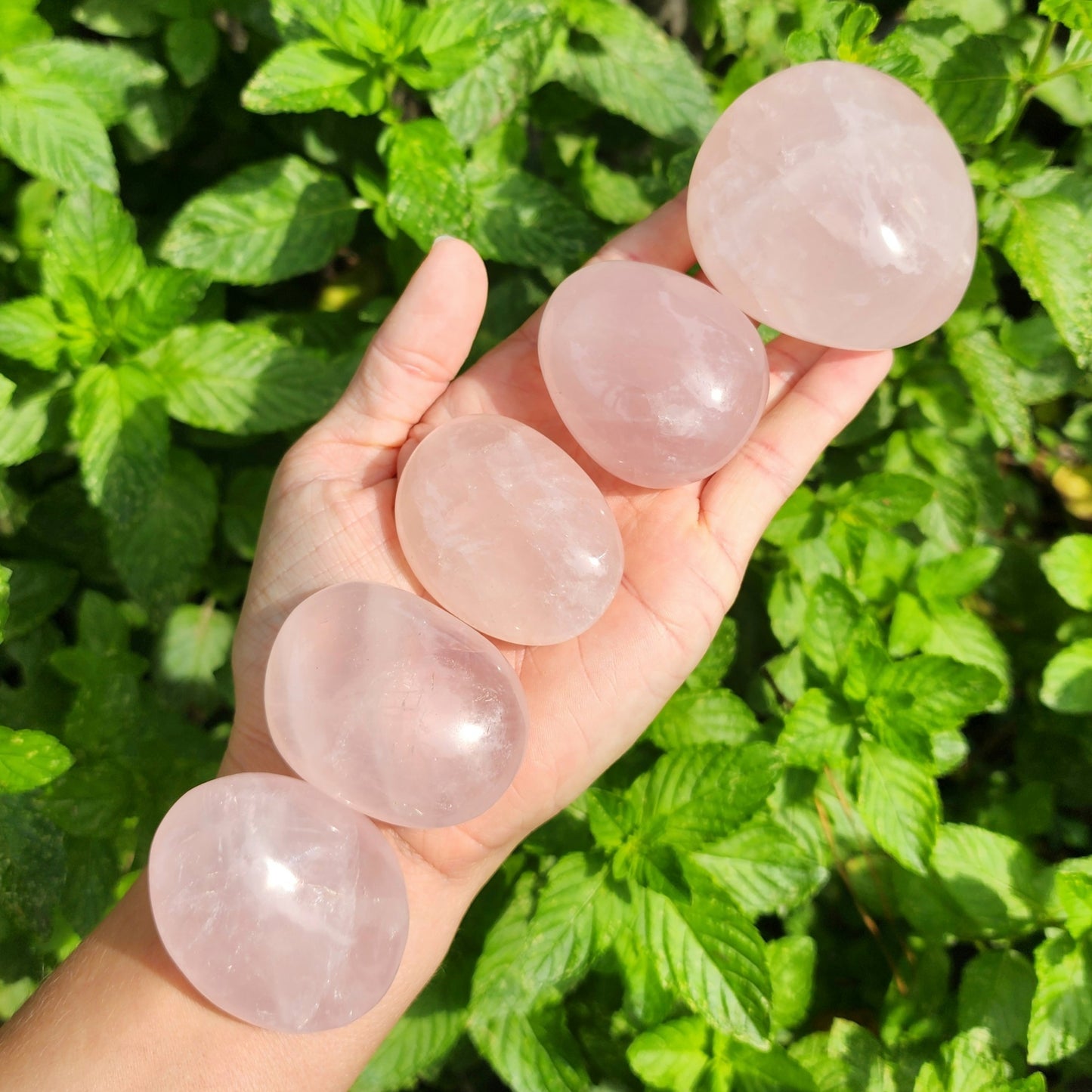 Rose Quartz Palm Stone