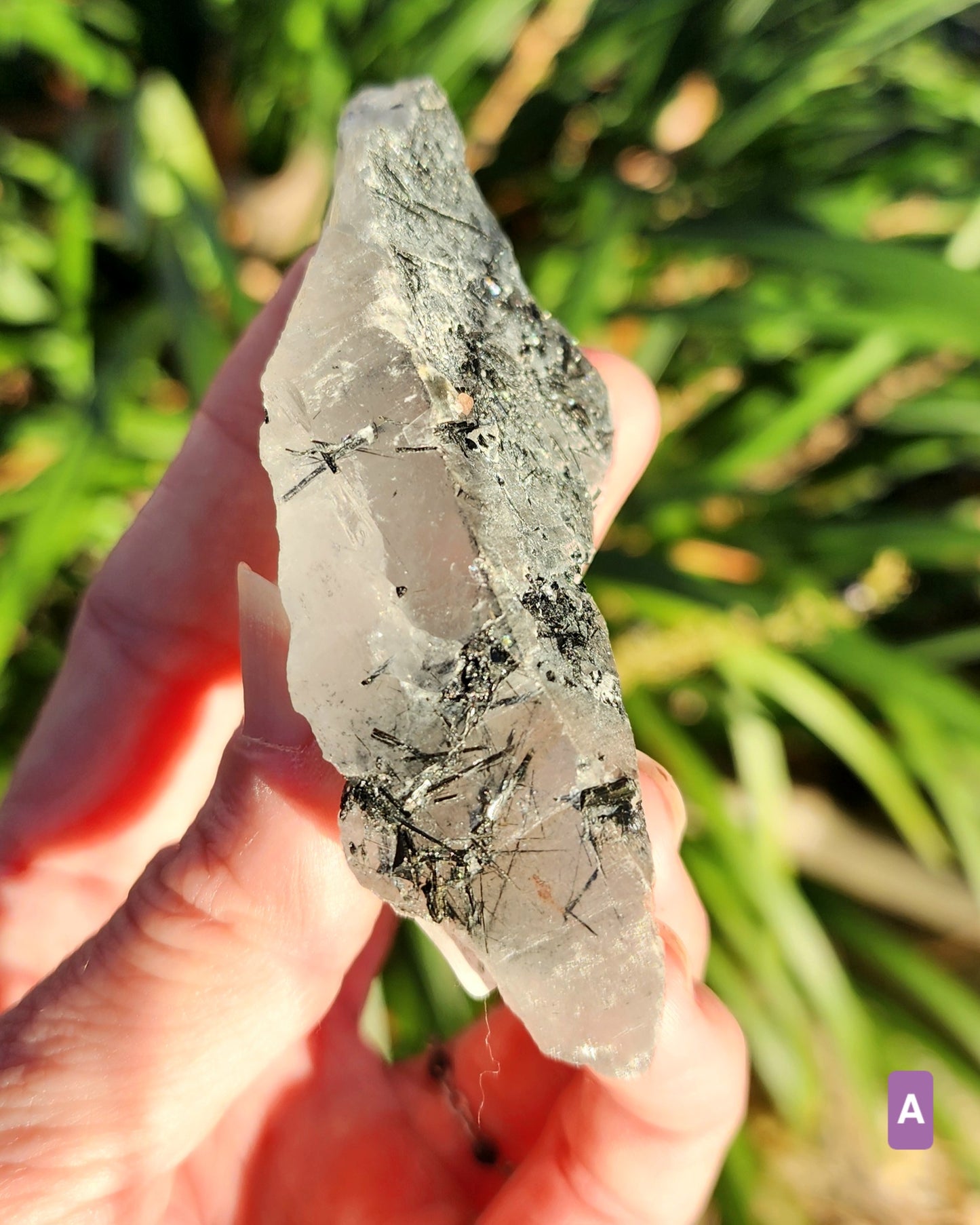 Raw Black Tourmaline in Quartz aka Tourmalinated Quartz
