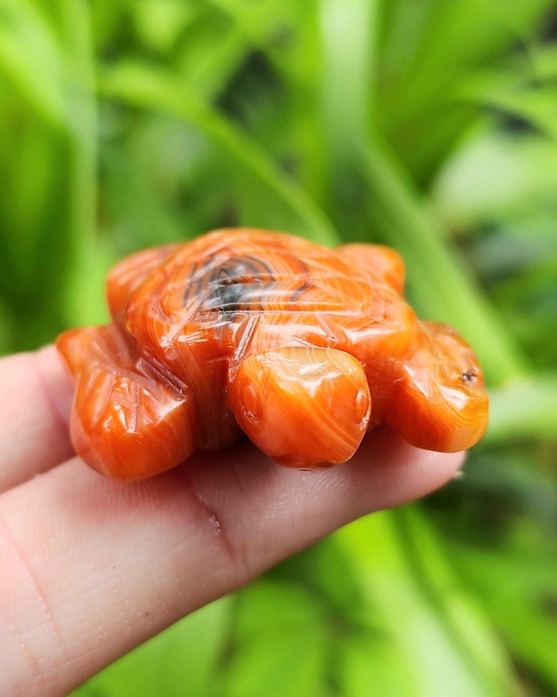 Carnelian Sea Turtle Carving