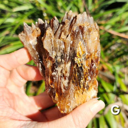 Amber Calcite Specimens (Root Beer Calcite)