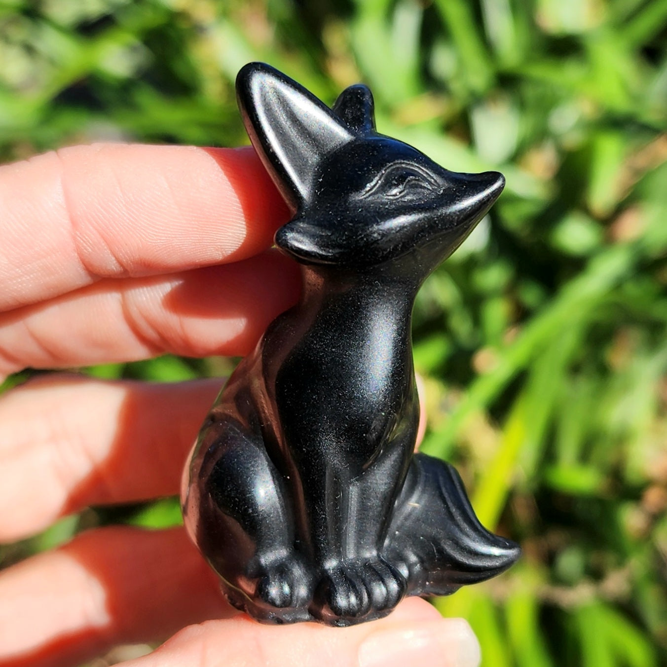 Black Obsidian Fox