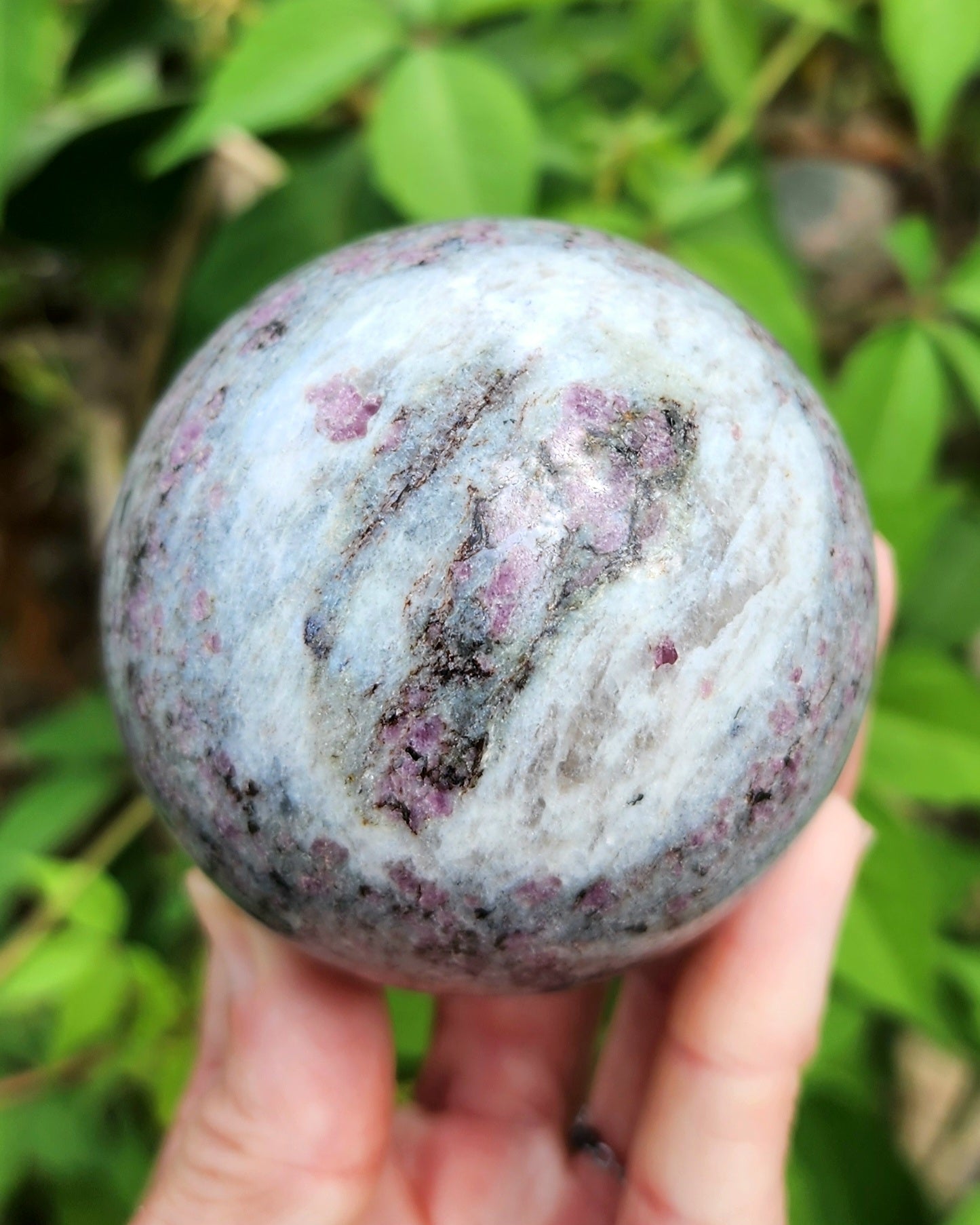 Garnet in Schist Sphere