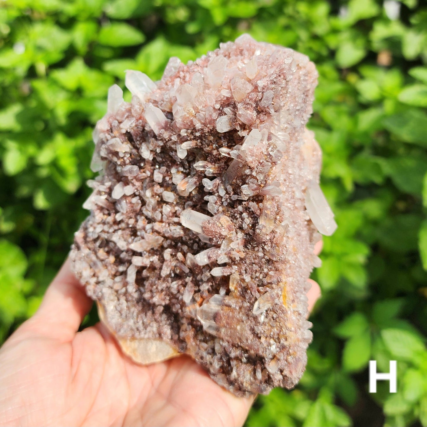 Red Phantom Quartz Clusters