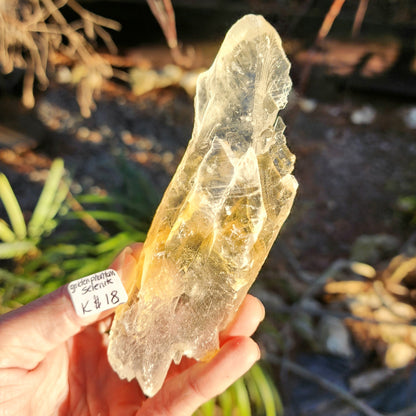 Golden Phantom Selenite