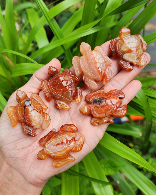 Carnelian Sea Turtle Carving
