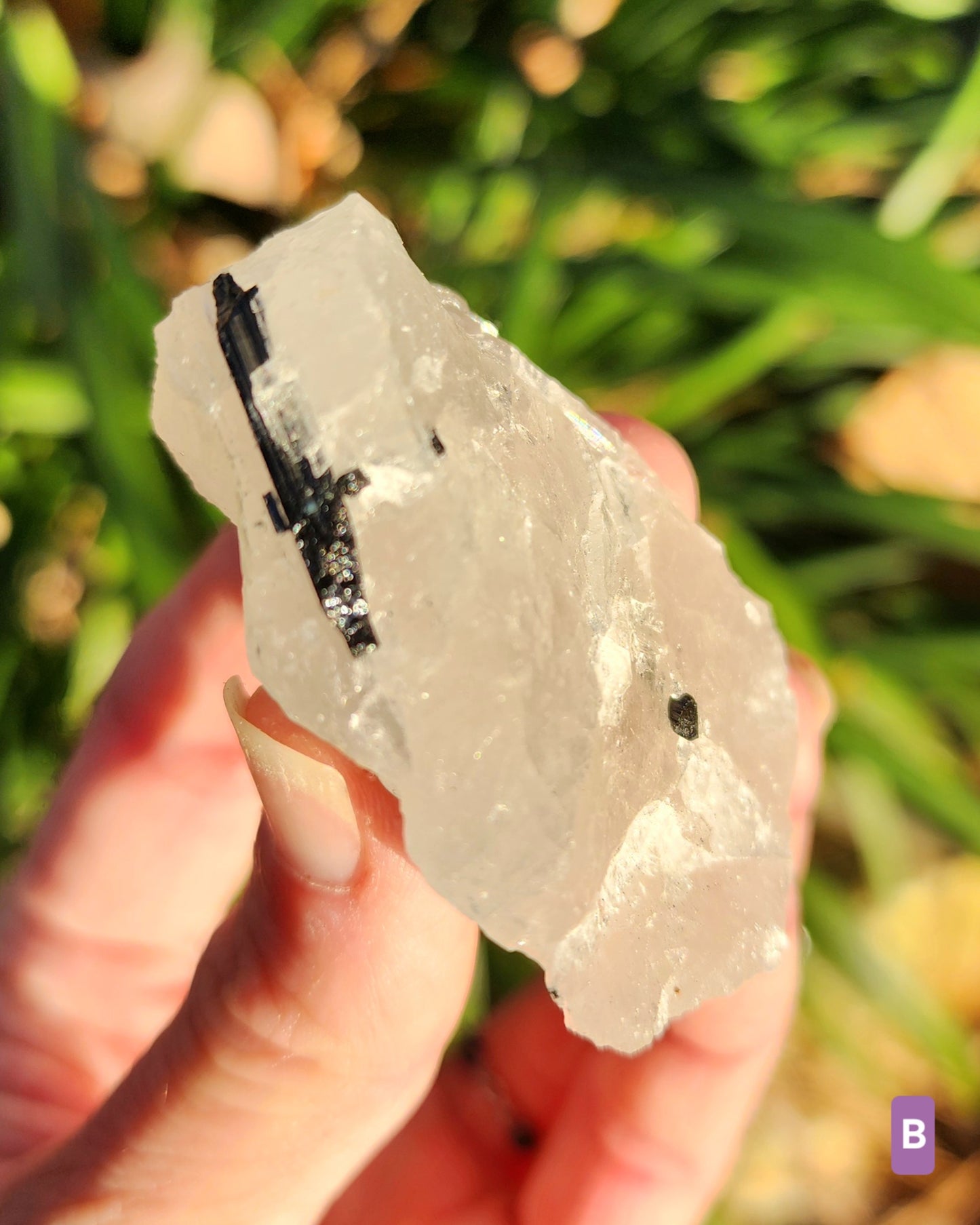 Raw Black Tourmaline in Quartz aka Tourmalinated Quartz
