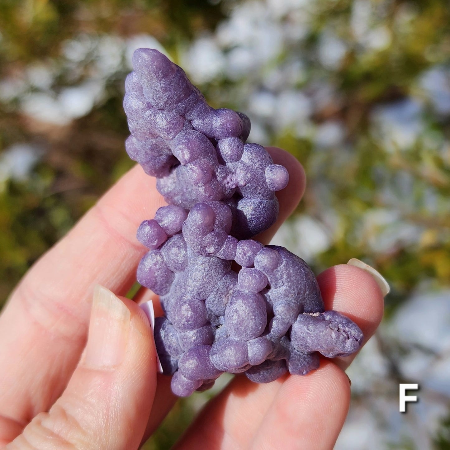 Grape Agate Specimens