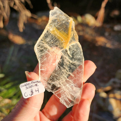 Golden Phantom Selenite