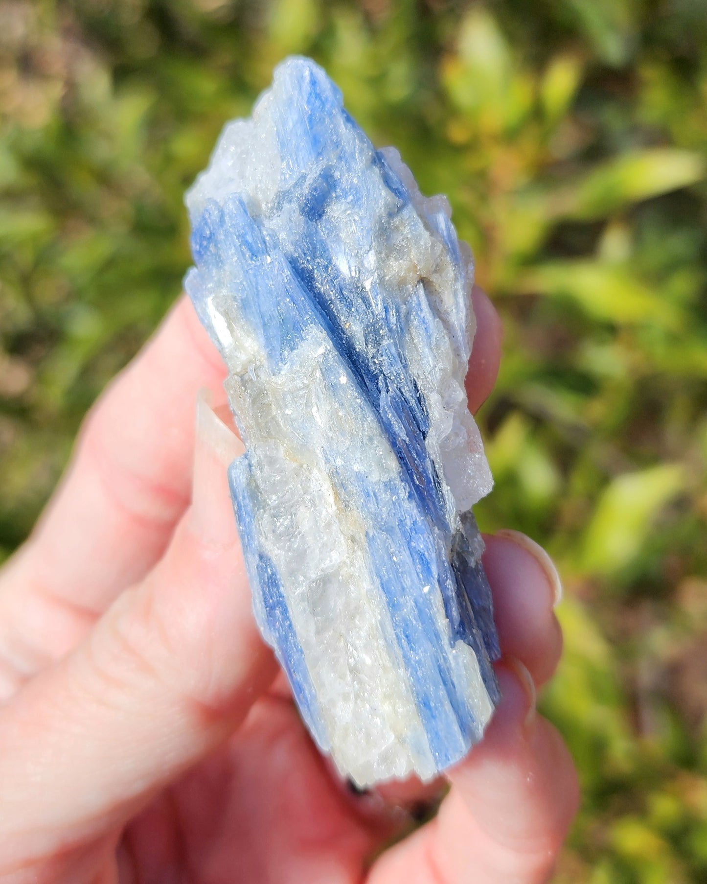 Raw Blue Kyanite