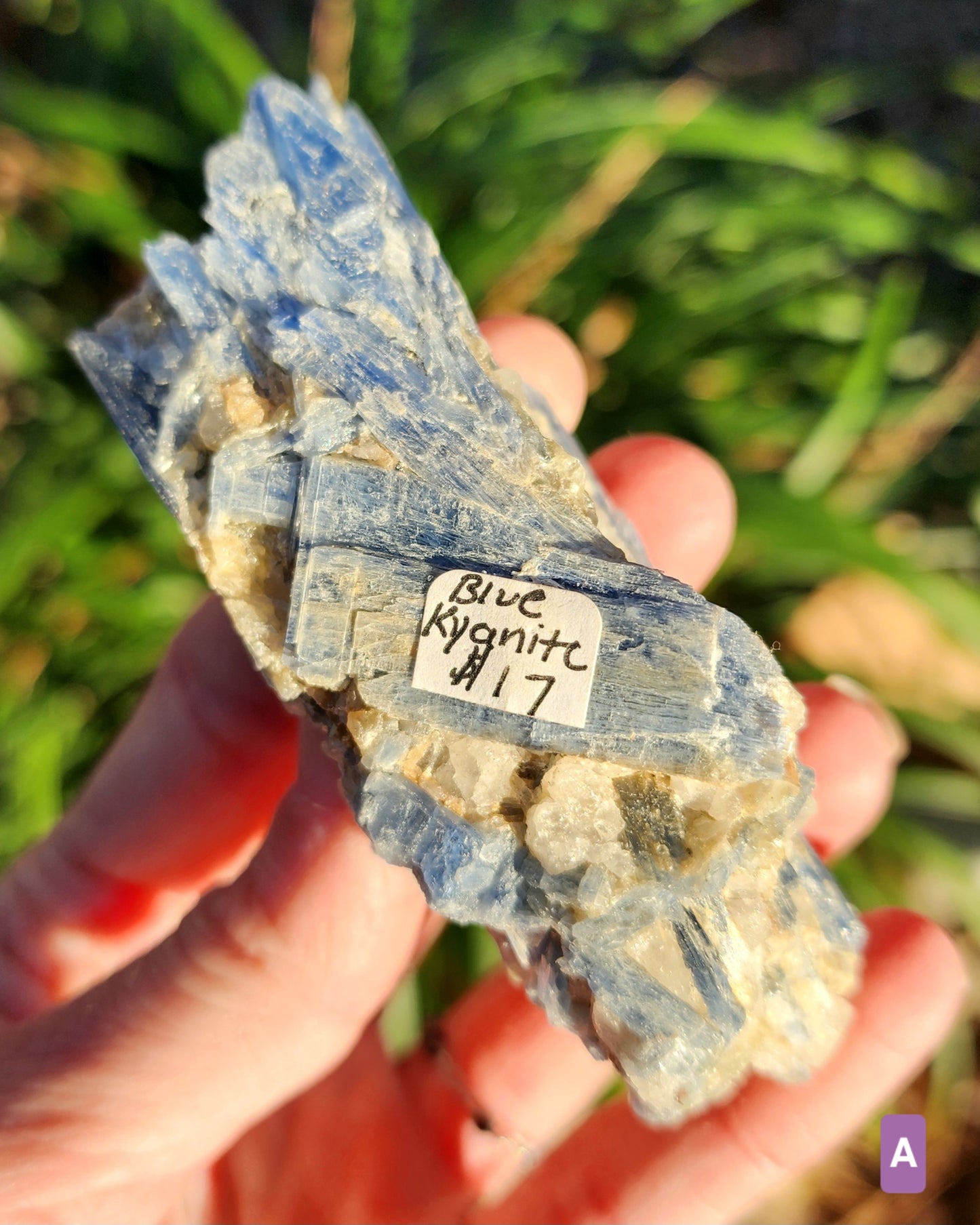Blue Kyanite with Quartz Clusters